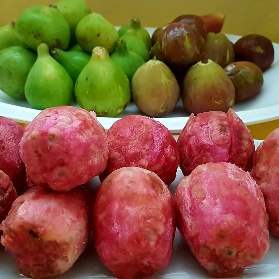 פורטו צ'זראו B&B La Strea מראה חיצוני תמונה